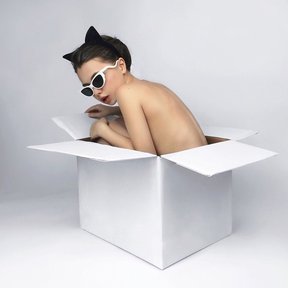 Елена Шейдлина